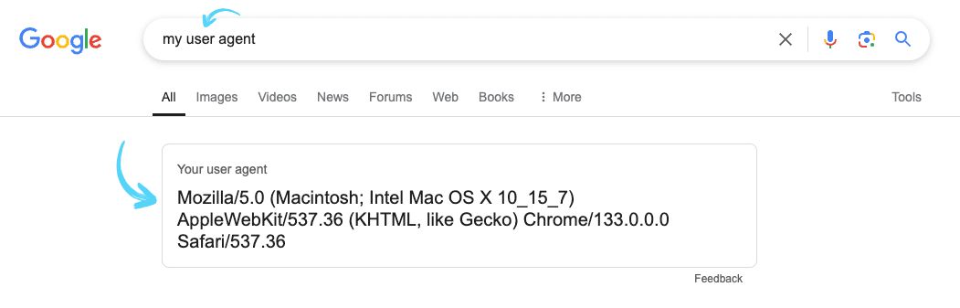 google-user-agent-search.jpeg