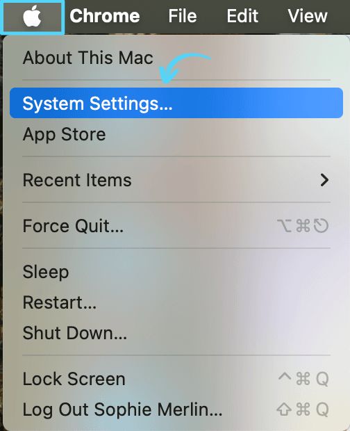 Mac System Settings icon used to access proxy configuration
